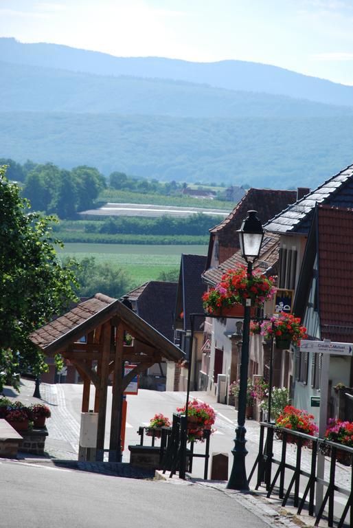 La Maison De Georges - Les Coquelicots Scharrachbergheim-Irmstett Стая снимка